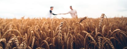 Men shaking hands in a field